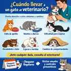 Ir al veterinario